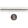 Pin Header 1x40 Male 2.54mm Black (Long Centered)