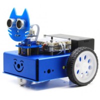 KitiBot 2WD Version