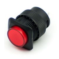 Illuminated Push Button - Momentary (16mm, Red)