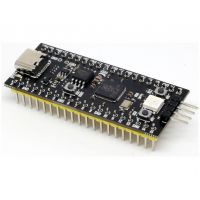 YD-RP2040 Core Board 4MB Flash - USB Type-C