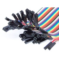 Ribbon 40wire 20cm - Female to Female