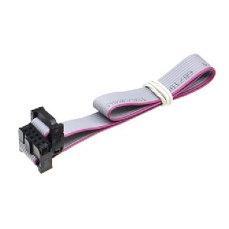 IDC Ribbon Cable 2x5 Pin - 30cm