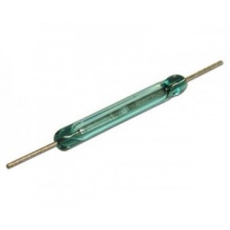 Reed Switch