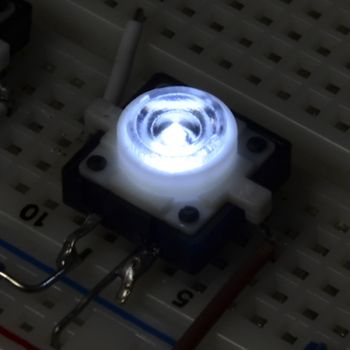 LED Tactile Button - White