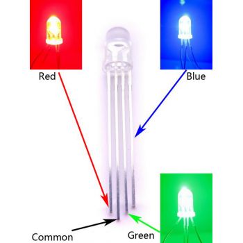 LED Diffused 5mm RGB - Common Cathode