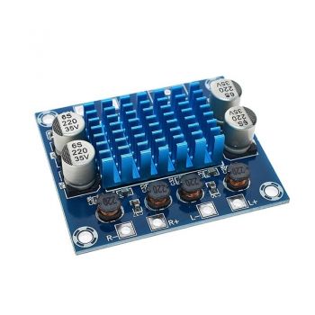 Stereo Digital Audio Amplifier Module 2X30W - TPA3110 With Heatsink