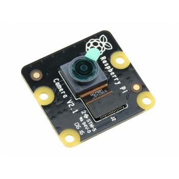 Raspberry Pi Camera Module NoIR V2 (8MP,1080p)