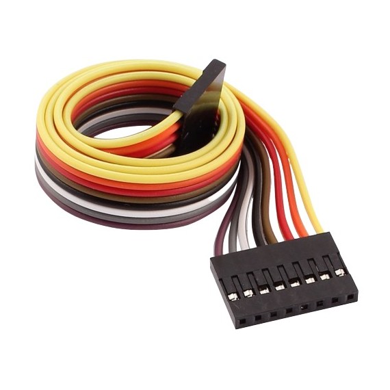 Jumper Wires 8-Pin 30cm Female to Female