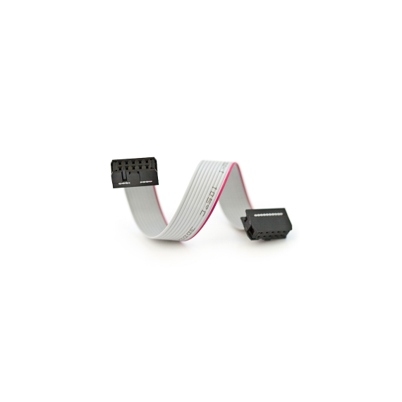 IDC Ribbon Cable 2x5 Pin - 30cm