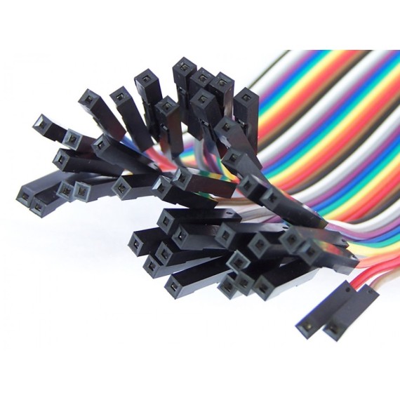 Ribbon 40wire 20cm - Female to Female