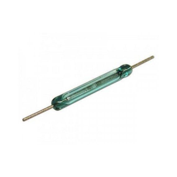 Reed Switch