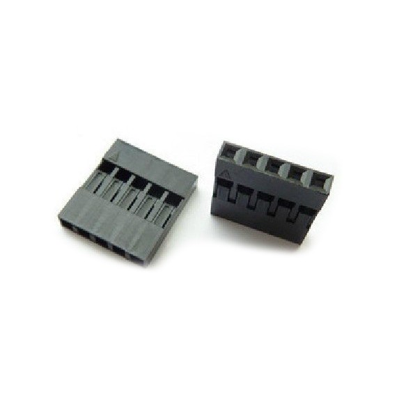 Dupont Terminal 5 Pins 2.54mm