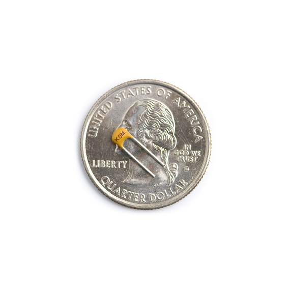 Capacitor Monolithic Ceramic 22pF
