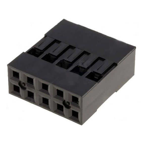Dupont Terminal 10 Pins 2.54mm (2x5)
