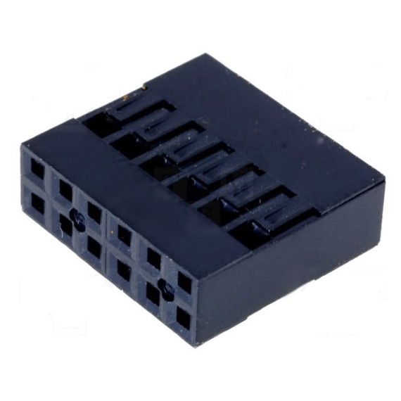 Dupont Terminal 12 Pins 2.54mm (2x6)